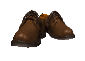 dancing_street_shoes_md_clr.gif (30220 bytes)